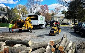 Best Stump Grinding and Removal  in Lake Odessa, MI